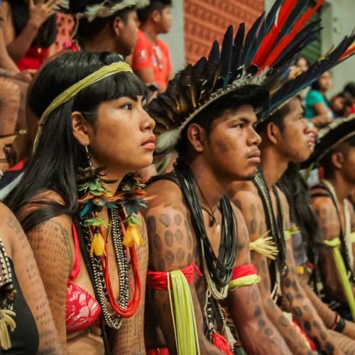 Assembleia debate Política de Saúde Indígena proposta pela deputada Cláudia de Jesus