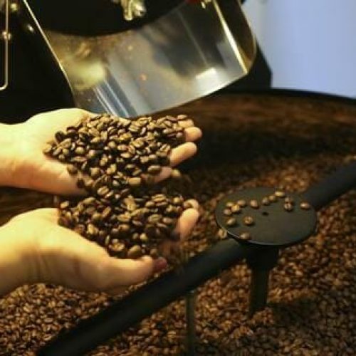 Pequenas torrefações preparam grãos especiais de café