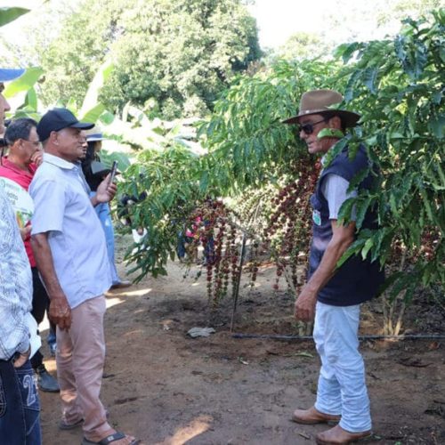 Experiência inovadora é preparada para os visitantes da 12ª Rondônia Rural Show Internacional