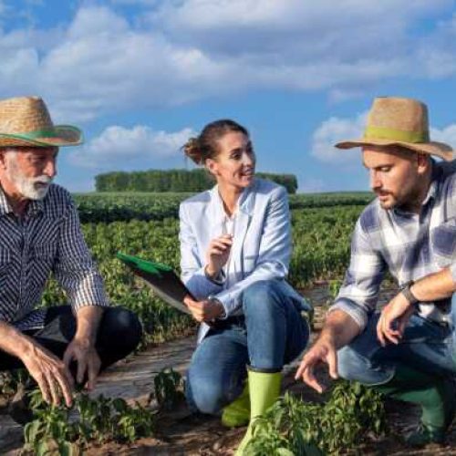 CrediSIS apresenta diversas opções de seguro na 11ª Rondônia Rural Show
