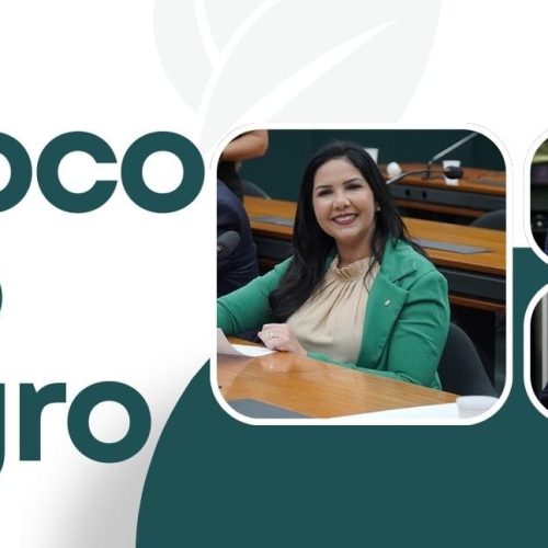 Bloco do Agro: Rondônia ganha força na Comissão de Agricultura da Câmara