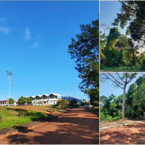 Unir promove corrida para universitários, servidores e comunidade