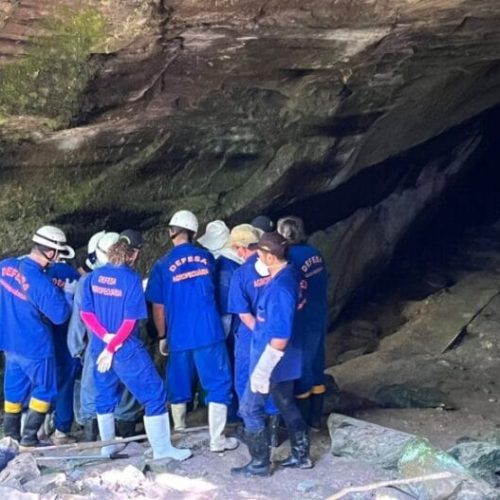 Treinamento de controle de morcego transmissor da raiva é realizado em Colorado do Oeste