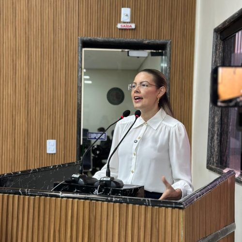 Projeto da vereadora Sofia Andrade que combate poluição visual é aprovado na Câmara de Porto Velho