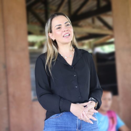 Deputada estadual Cláudia de Jesus (PT) (Foto: Assessoria Parlamentar)