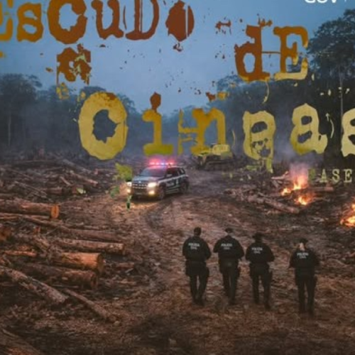 POLÍCIA CIVIL DEFLAGRA OPERAÇÃO “ESCUDO DE CINZAS V – RIO MADEIRA B” CONTRA ORGANIZAÇÃO CRIMINOSA QUE INVADIU FLORESTA ESTADUAL EM PORTO VELHO