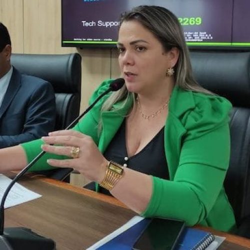 Cláudia de Jesus sugere mutirões médicos para reduzir fila de espera na Saúde