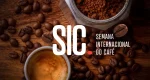 Sete produtores de Rondônia avançam na disputa pelo melhor café do país