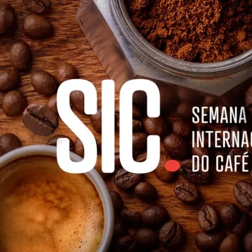 Sete produtores de Rondônia avançam na disputa pelo melhor café do país