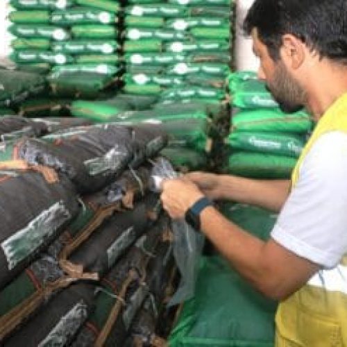 Qualidade das sementes de pastagem que chegam ao comércio impacta atuação da Idaron em Rondônia