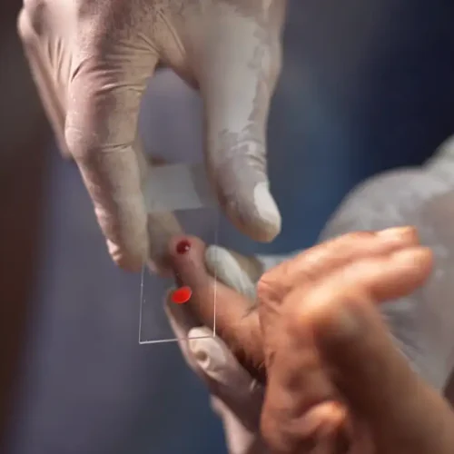 © TV Brasil/Reprodução
