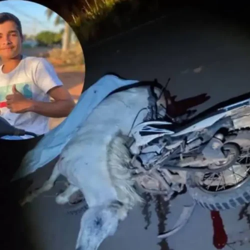 Colisão com cavalo na Rodovia do Boi mata adolescente de 17 anos