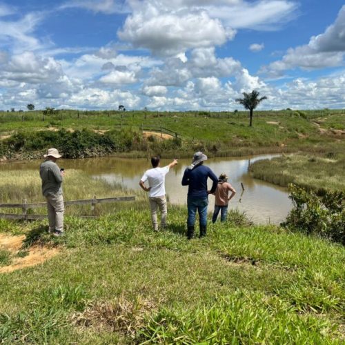 Monitoramento de áreas em recuperação ambiental no estado são intensificadas pelo governo de RO