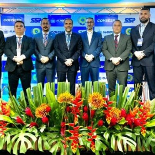 Estratégias conjuntas de combate às queimadas são traçadas com estados da Amazônia Legal