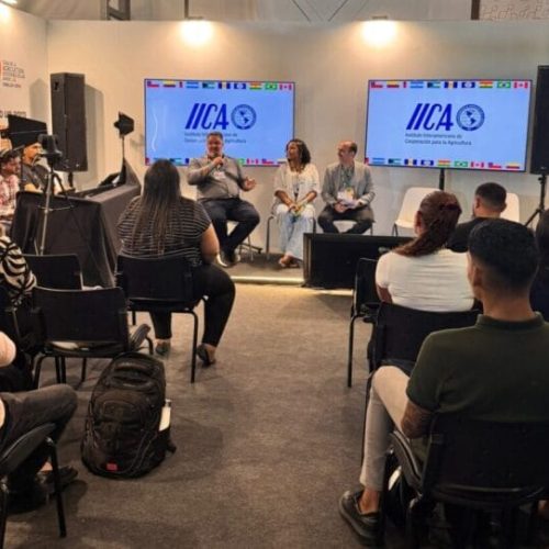 Governo de RO destaca manejo sustentável do pirarucu durante painel da COP30