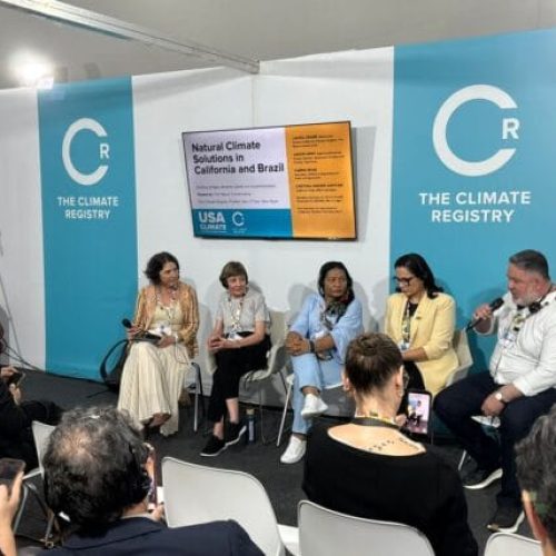 Rondônia integra debate internacional sobre ações baseadas na natureza durante painel na COP 30