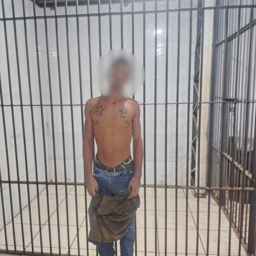 Polícia Militar prende suspeito de estupro de vulnerável e violência doméstica em Porto Velho