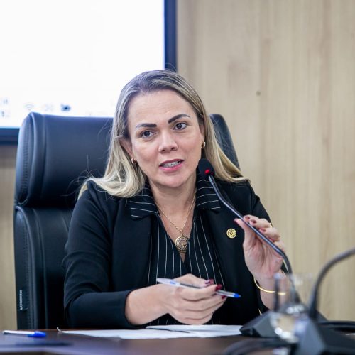 Projeto de lei da deputada Cláudia de Jesus reserva vagas de trabalho para vítimas de violência doméstica