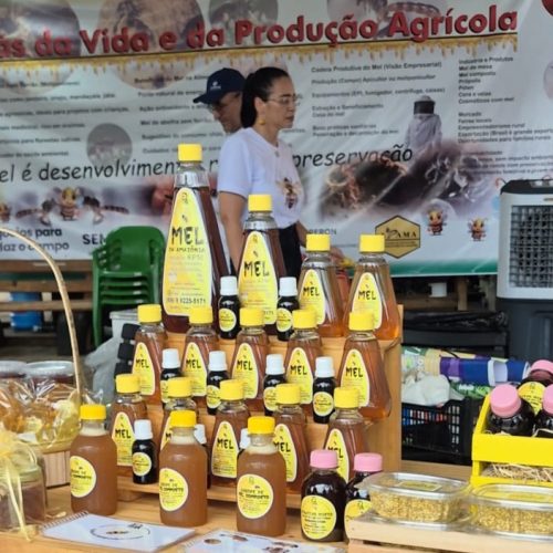 Sabores da Colmeia destaca potencial da apicultura e meliponicultura na 2ª edição da Agrotec 2026