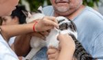 Dia D do ‘Setembro Caramelo’ imuniza mais de 30 mil animais em Porto Velho