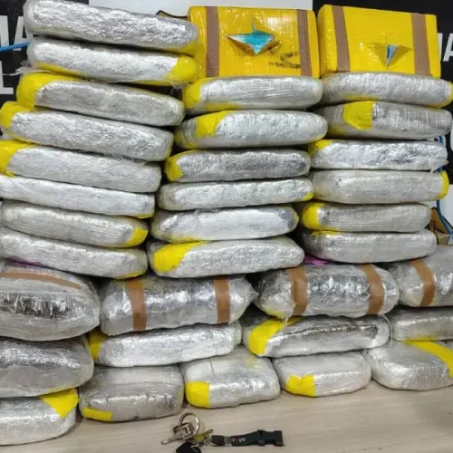 Denarc apreende 37 quilos de drogas e prende suspeito em Porto Velho