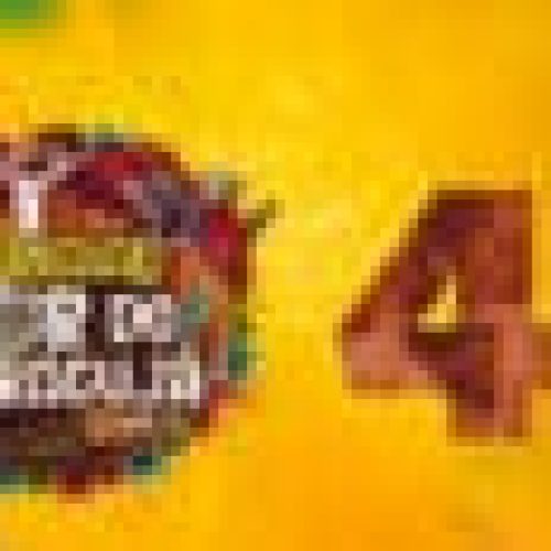 Fiscalização e garantia da ordem pública foram mantidas pelas forças de segurança durante o Arraial Flor do Maracujá, em Porto Velho