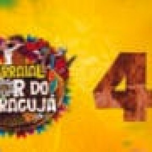 Agremiações dão show na arena e aumentam expectativa sobre futuros campeões do 40º Arraial Flor do Maracujá, em Porto Velho