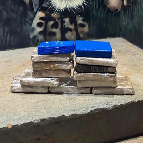 Homem é preso ao ser flagrado com tabletes de cocaína e maconha em ônibus de viagem