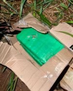 Ação conjunta da PM e PF apreendem caixa com drogas em Guajará Mirim