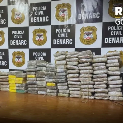 Polícia Civil apreende 122 quilos de drogas em ação do Denarc; dois suspeitos são presos