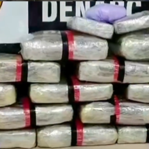 Polícia Civil prende foragido do Acre com cerca de 20 quilos de SKUNK em Porto Velho