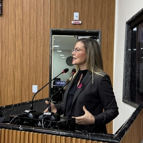 Sofia Andrade cobra transparência em contratos milionários de shows e defende valorização de artistas locais