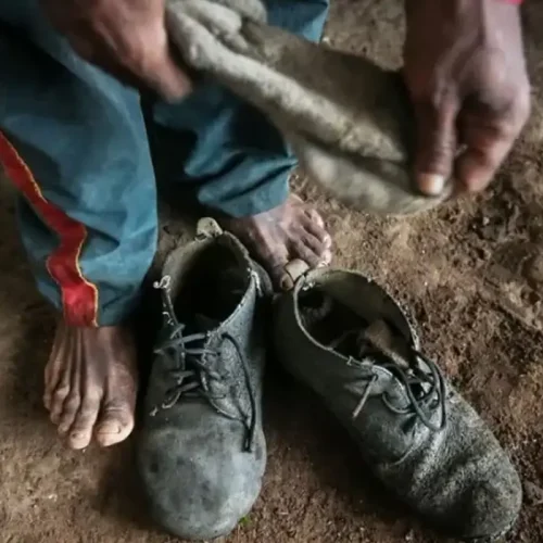 Trabalho escravo: só 4% dos réus recebem penas sobre todos os crimes