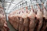 Exportação de carne bovina do Brasil caminha para primeira queda mensal em 18 meses
