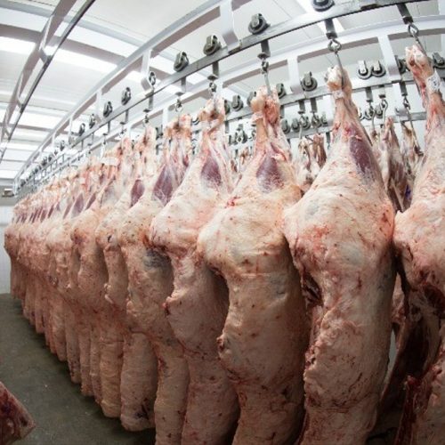 Exportação de carne bovina do Brasil caminha para primeira queda mensal em 18 meses