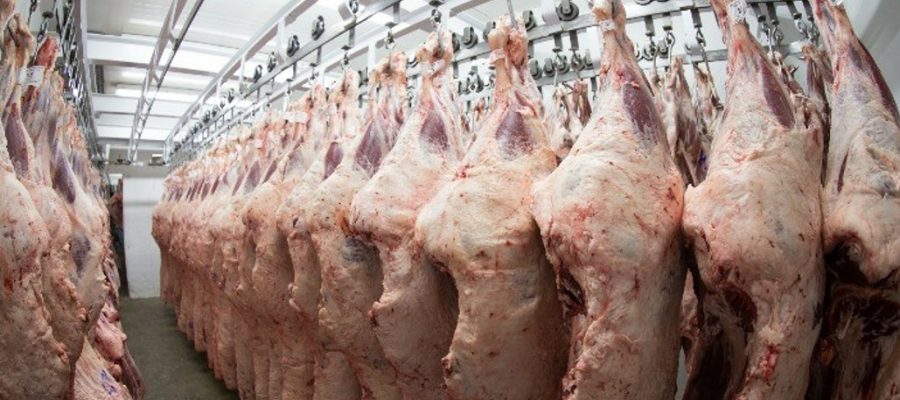 Exportação de carne bovina do Brasil caminha para primeira queda mensal em 18 meses