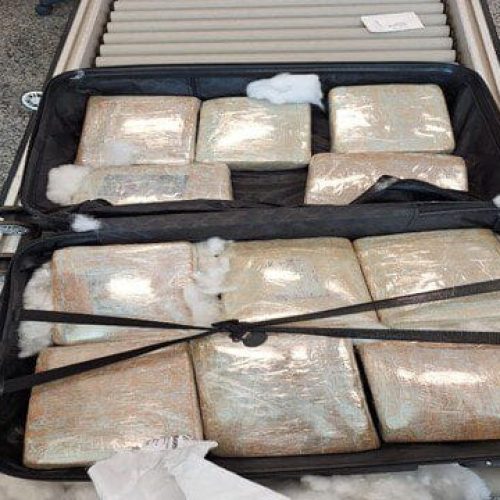 Traficante é flagrada transportando mais de 11 kg de maconha no aeroporto de Porto Velho