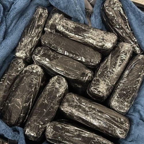 PF prende homem com 16 kg de maconha no Aeroporto de Porto Velho