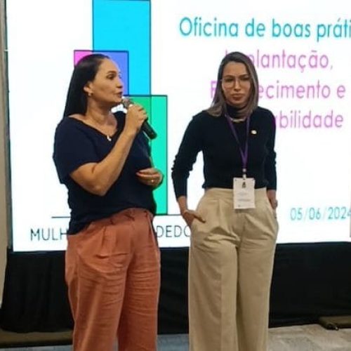 Rondônia representado no Workshop do Conselho Nacional da Mulher Empreendedora