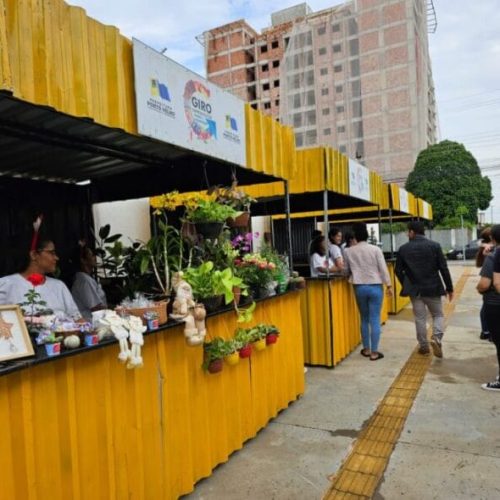 Aprender a empreender: projeto move oportunidades para adolescentes em cumprimento de medida