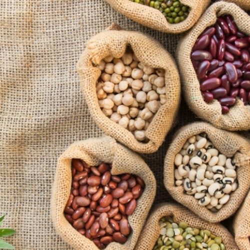Feijão: folhas revelam problemas nutricionais