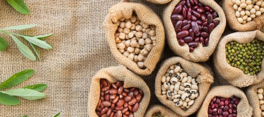 Feijão: folhas revelam problemas nutricionais