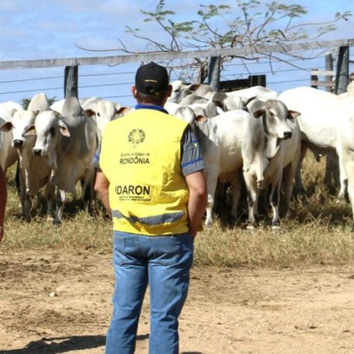 A partir de sábado, 1º, produtor terá 30 dias para atualizar cadastro agropecuário junto à Idaron
