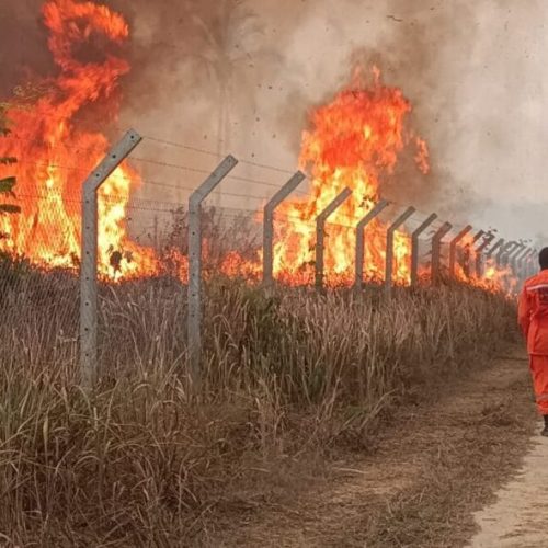 Governo de RO decreta suspensão do uso do fogo por 90 dias para combater queimadas