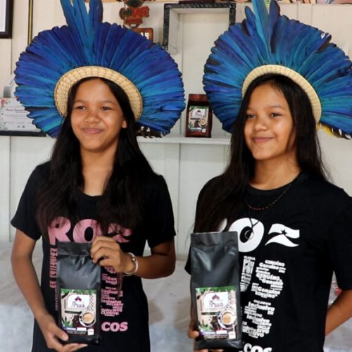 Desenvolvendo práticas tradicionais, povos indígenas de Rondônia se destacam na produção agrícola de café