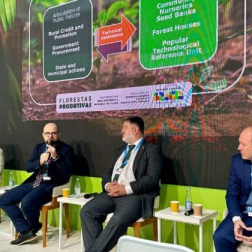 Governo de RO discute restauração da vegetação nativa na Amazônia durante COP29