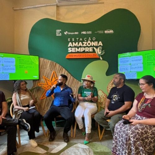 Desafios e fortalecimento de parcerias para engajamento de produtores são destacados pelo governo de RO na COP30