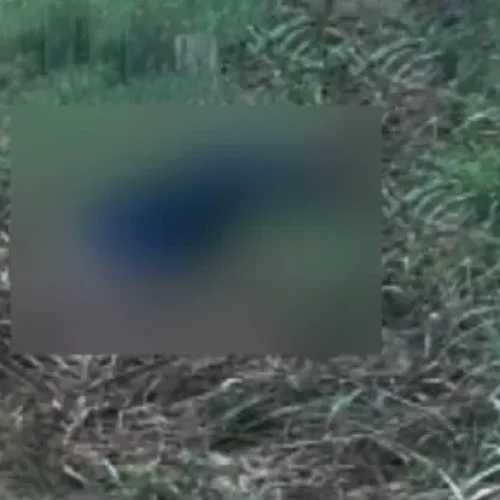 Homem é encontrado morto com tiro na cabeça em Porto Velho
