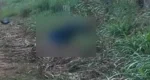 Homem é encontrado morto com marcas de tiros e corpo carbonizado em distrito de Candeias do Jamari