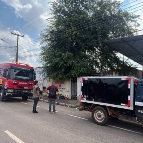 Homem é encontrado morto em cima de pé de tamarindo no bairro Olaria em Porto Velho
